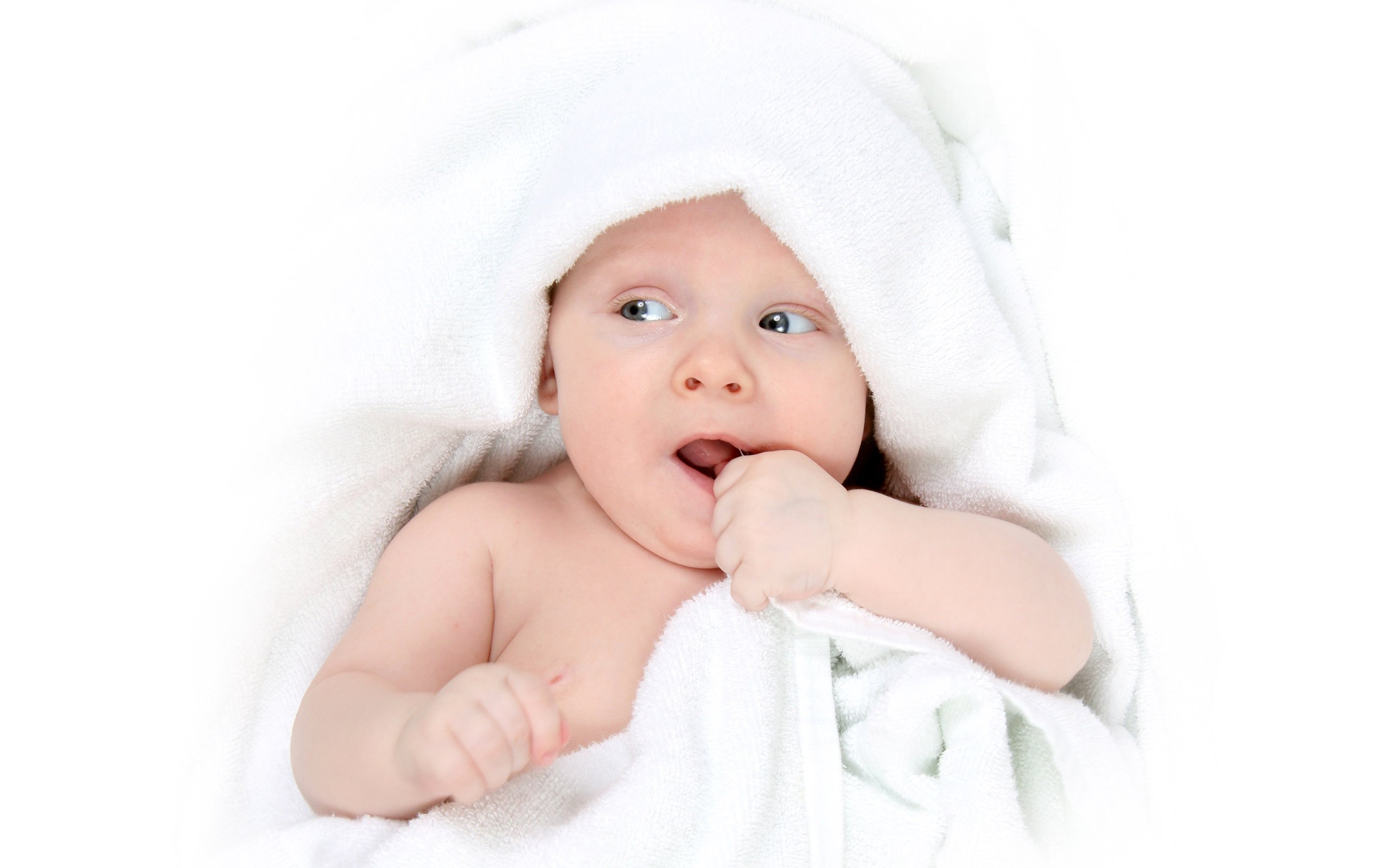 珠海正规捐卵机构哪种试管婴儿成功率最高